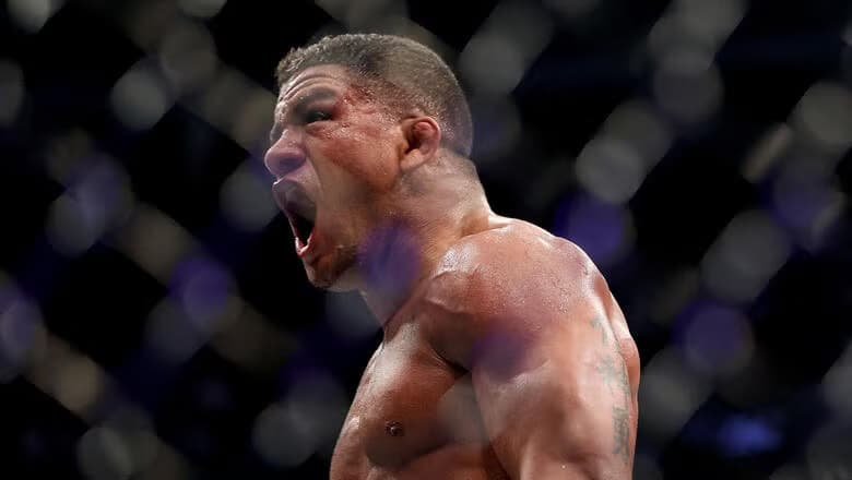 Где посмотреть UFC в Виннипеге: Бёрнс против Мэлотта