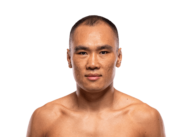 Ding Meng