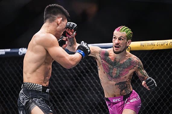 Шон О'Мэлли раскритиковал дизайн бойцовских шорт для турнира UFC в Белом доме