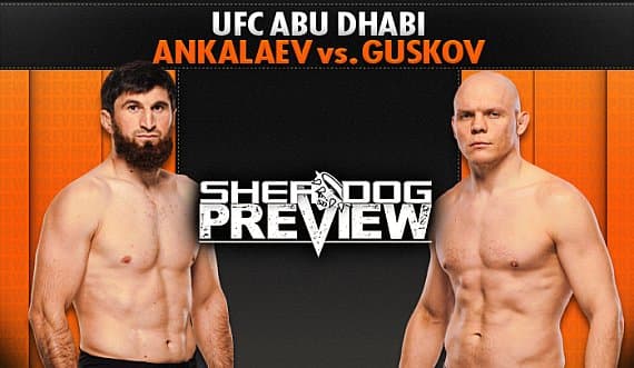 Титульный шанс на кону: Анкалаев против Гуськова в главном событии UFC Абу-Даби