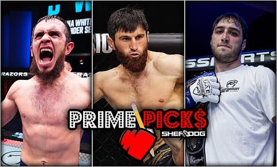 UFC Абу-Даби: три ставки на один вечер — Анкалаев, Зайнуков и Вальтер Уокер