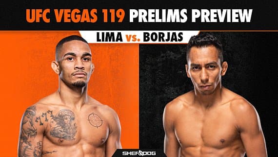 UFC Вегас 119: предварительный кард — Лима против Борхаса